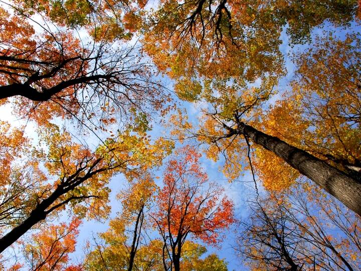 Andalusien im Herbst Andalusien Herbst