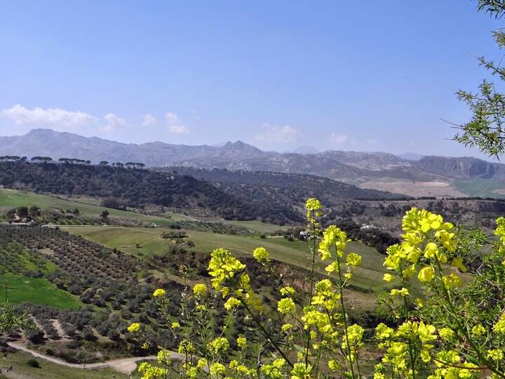 Andalusien Klimatabellen