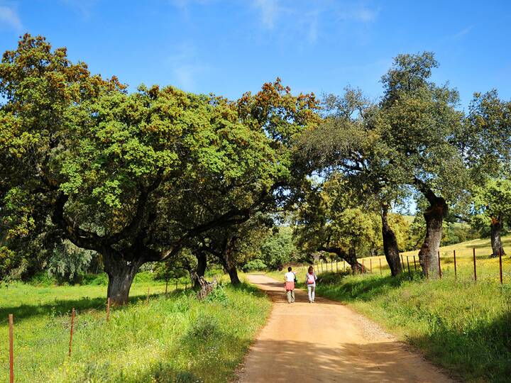 Sierra de Aracena