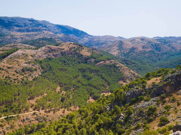 Sierra de las Nieves