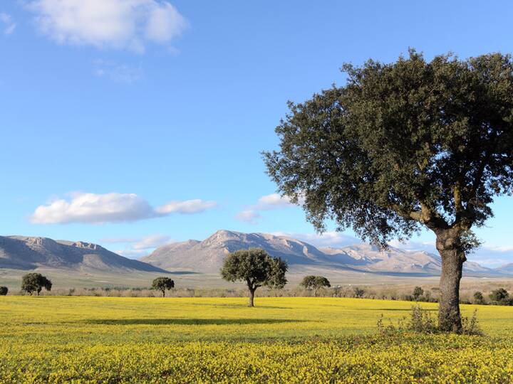 Sierra de María-Los Vélez