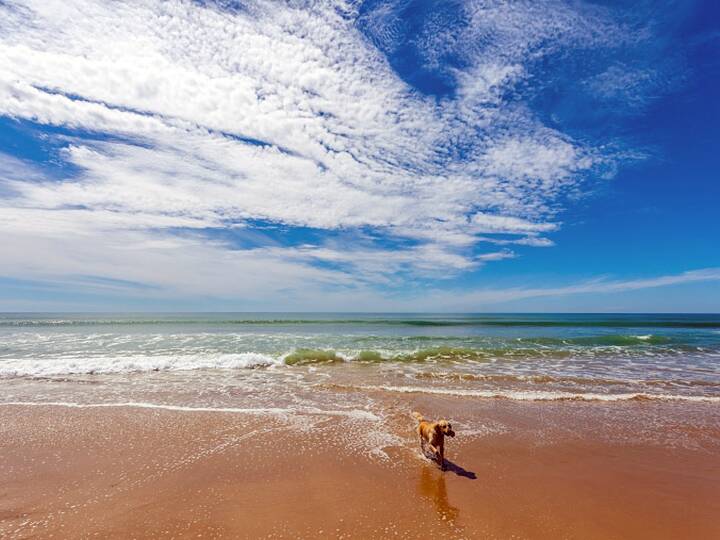 Strand El Chato / Torregorda