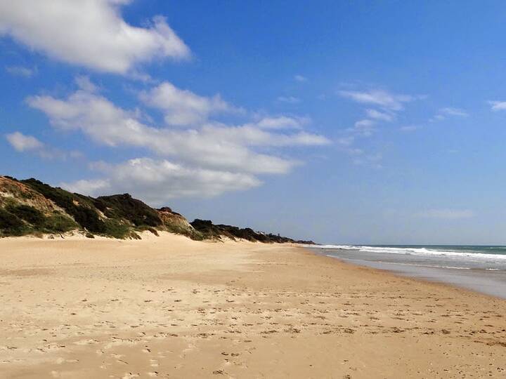 Strand El Puerco / La Loma del Puerco in Chiclana de la Frontera Strand El Puerco / La Loma del Puerco Chiclana