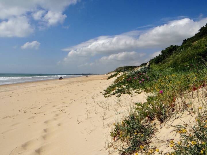 Strand La Barrosa in Chiclana de la Frontera Strand La Barrosa