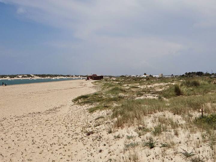 Strand Sancti-Petri / Lavaculos in Chiclana de la Frontera Strand Sancti-Petri Chiclana de la Frontera