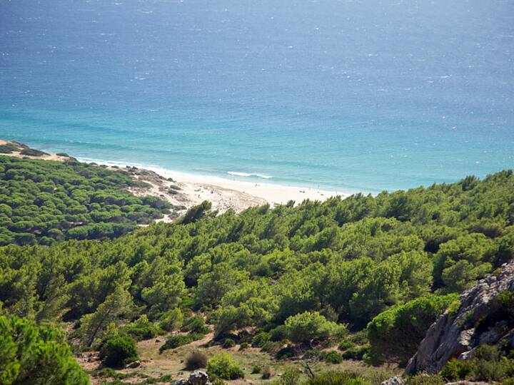 Strand El Cañuelo