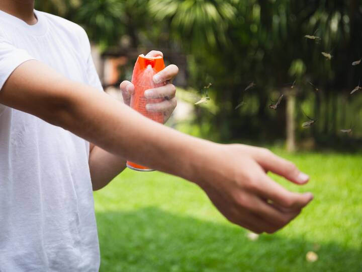 Sommernächte in Andalusien: So behandelst du Stiche, wenn die Mücken zuschlagen Andalusien Mücken