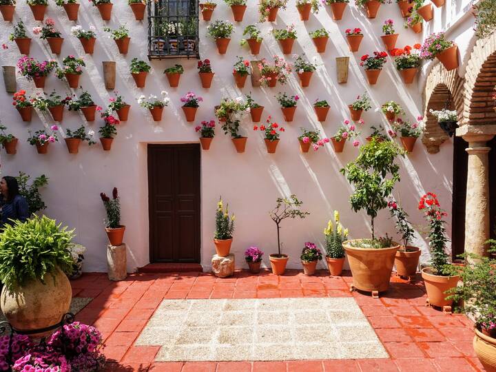 Festival Patios Córdoba