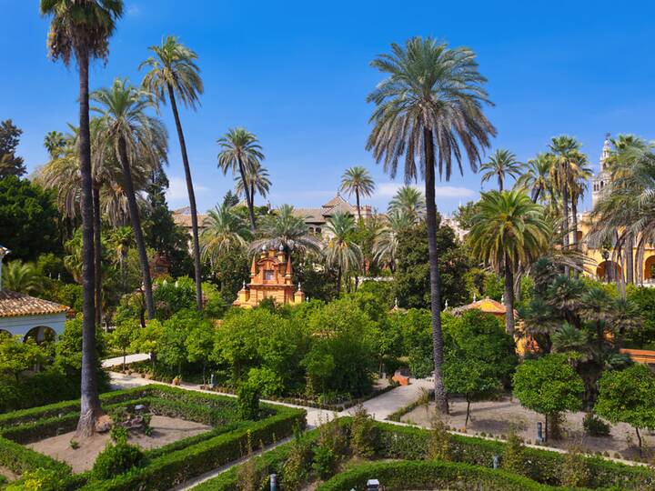 Nächte in den Gärten des Real Alcázar in Sevilla Konzerte Alcázar Sevilla
