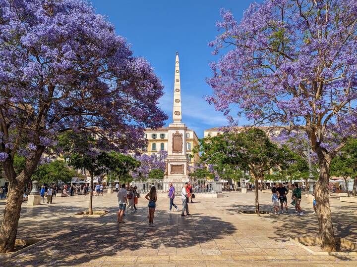 Plaza de la Merced Málaga Plaza de la Merced in Málaga