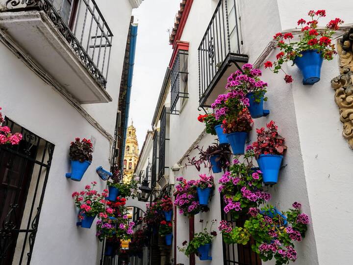 Calleja de las Flores Córdoba