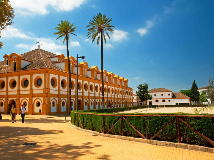 Königlich-Andalusische Reitschule in Jerez de la Frontera Königlich-Andalusische Reitschule
