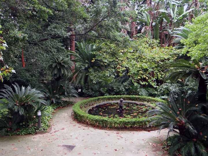 Botanischer Garten in Málaga Botanischer Garten Málaga