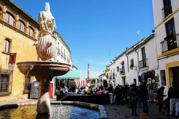 Plaza del Potro Córdoba