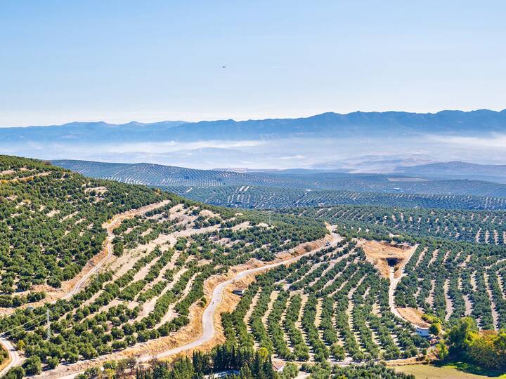 Provinz Jaén in Andalusien Provinz Jaén