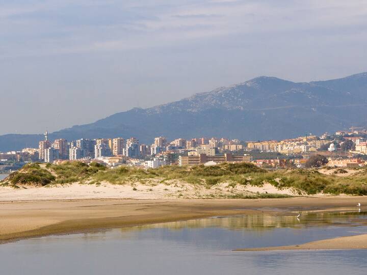 Algeciras