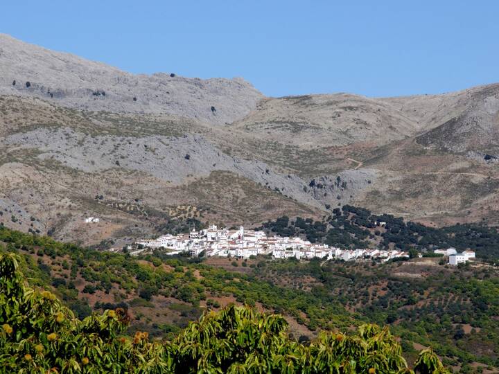 Cartajima in der Provinz Málaga Cartajima