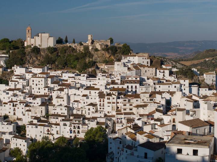 Casares