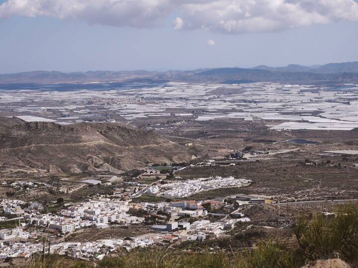 El Ejido 