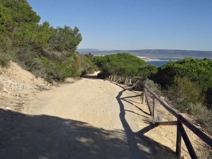 AL7: Wanderung durch den Pinienwald bei Barbate Wanderung Pinienwald Barbate