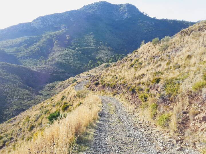 BH2: Von Benahavís zum Torre de la Romera und zurück Wanderung Benahavís Torre de la Romera