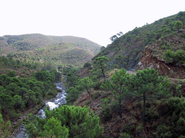 BH3: Von Benahavís zum Cañada de la Mora und zurück Wandern Benahavís Cañada de la Mora