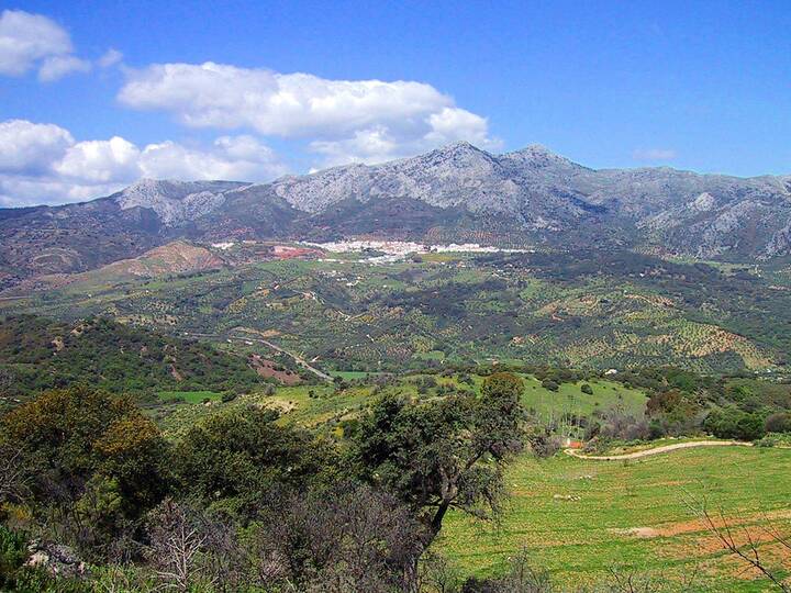 ES5: Wanderung von Cortes de la Frontera über Atajate nach Jimera de Líbar Wanderung Cortes Atajate Jimera de Líbar