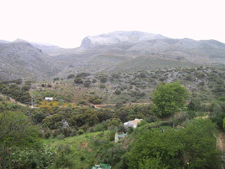 RO11: Rundwanderung durch den Kastanienwald von Igualeja nach Parauta RO11 Rundwanderung Serranía de Ronda
