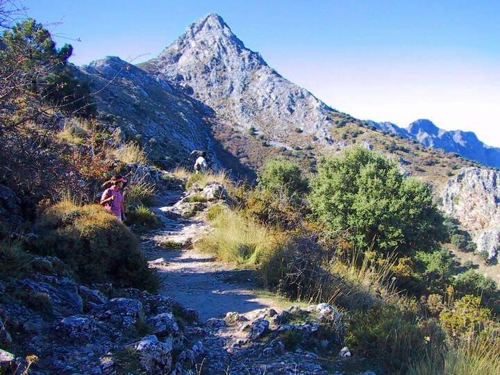 RO3: Wanderung durch den Pinsapar Wanderung Pinsapar Sierra Grazalema