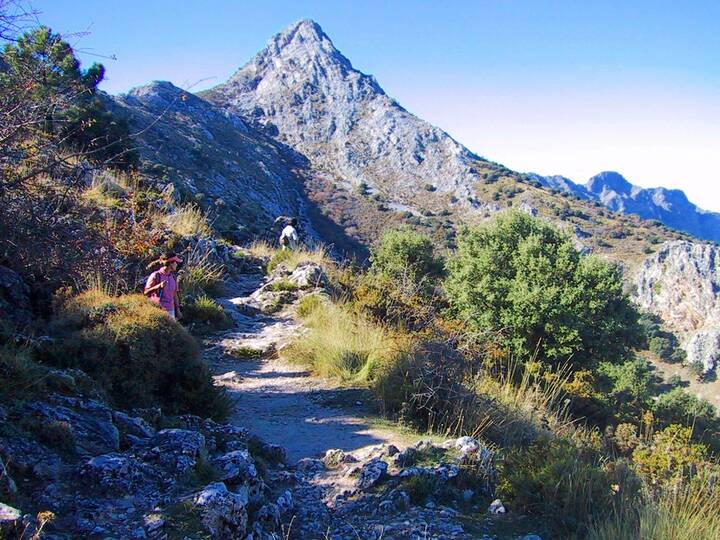 Wanderung Pinsapar Sierra Grazalema