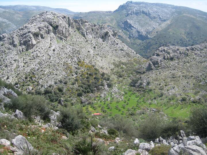 RO9: Durch den Llanos de Líbar von Benaoján nach Cortes de la Frontera RO9 Llanos de Líbar Benaoján Cortes de la Frontera