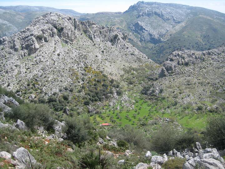 RO9 Llanos de Líbar Benaoján Cortes de la Frontera