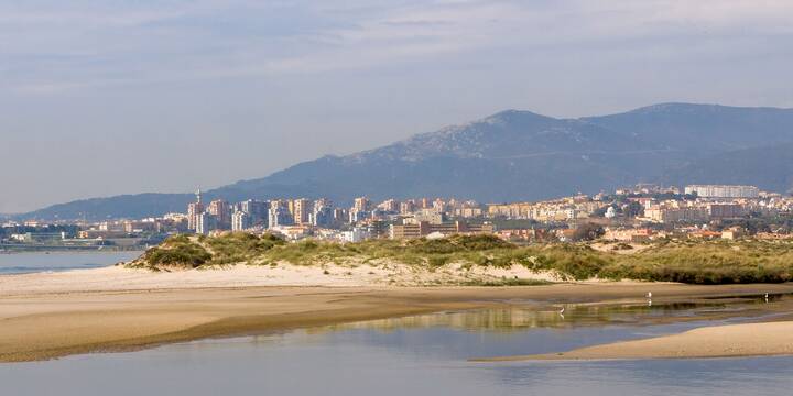 Algeciras