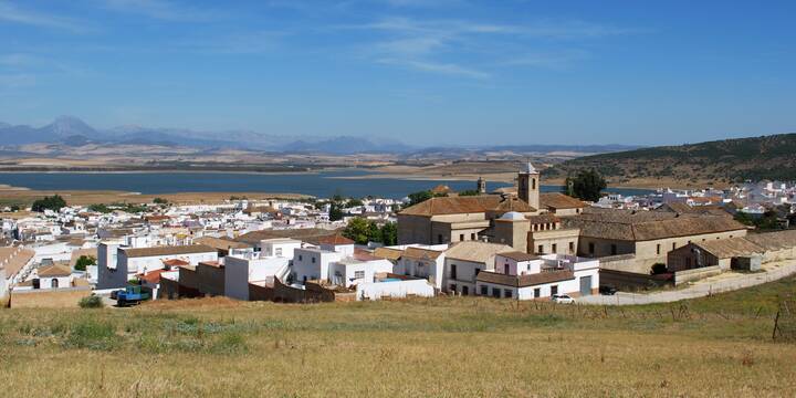 Bornos
