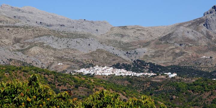 Cartajima