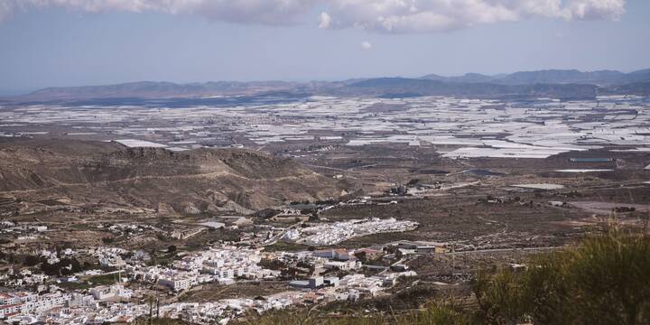 El Ejido 