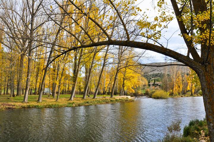 Der Duero bei Soria in der Region Kastilien und León Duero Spanien