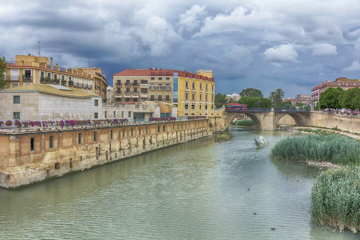 Der Río Segura in der Stadt Murcia Segura Spanien