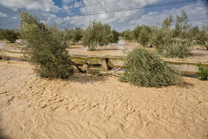 Andererseits gibt es in Andalusien aber auch vermehrt Starkregen-Ereignisse Andalusien Flut Starkregen