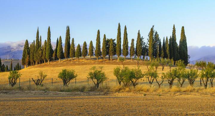 Tholos El Romeral Antequera