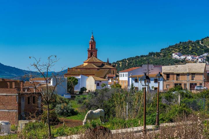 Kirche Algodonales