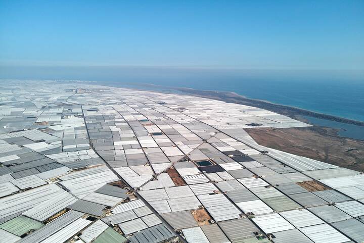 El Ejido Plastikmeer