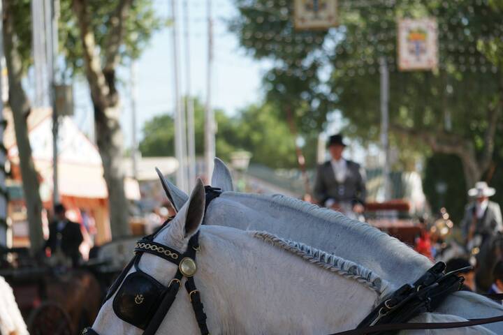 Aprilmesse Sevilla Pferde