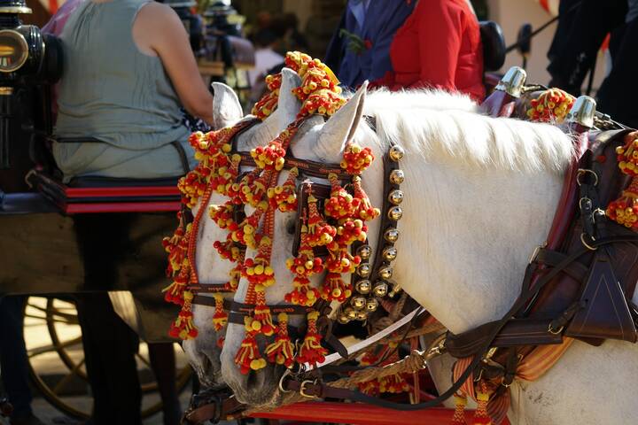 Feria Sevilla Pferd