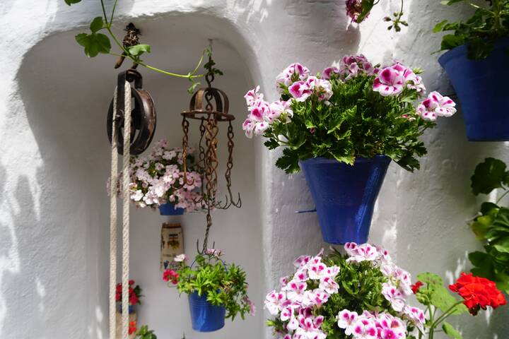 Córdoba Blumenfest