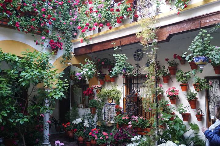 Córdoba Patios