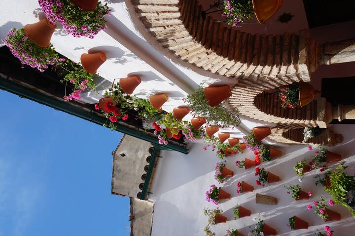 Festival de los Patios Cordobeses