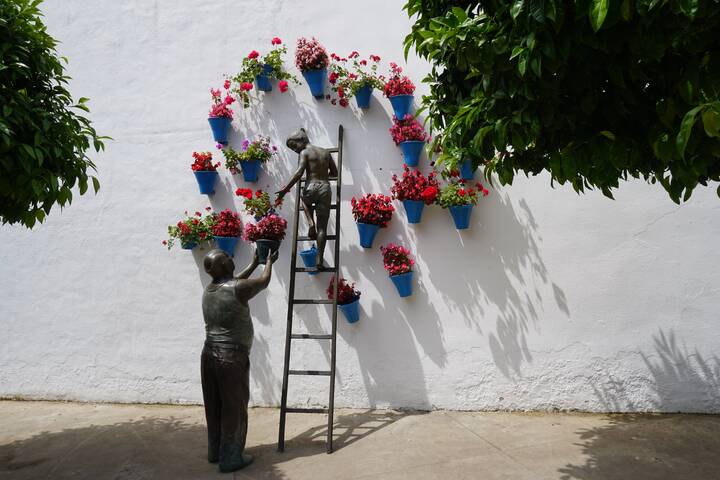 Patios de Córdoba