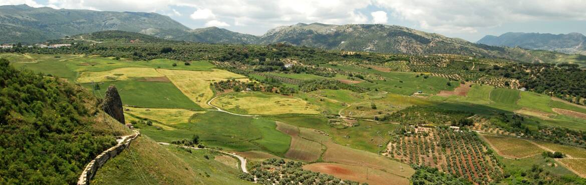 Natur in Andalusien Natur Andalusien