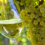 Weinfest Jerez